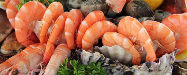 Fruits de mer