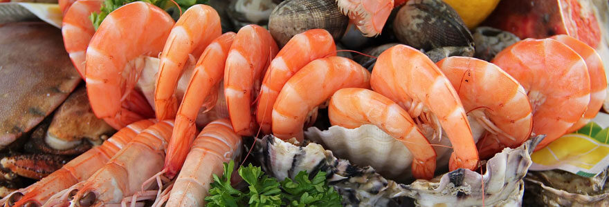 Fruits de mer